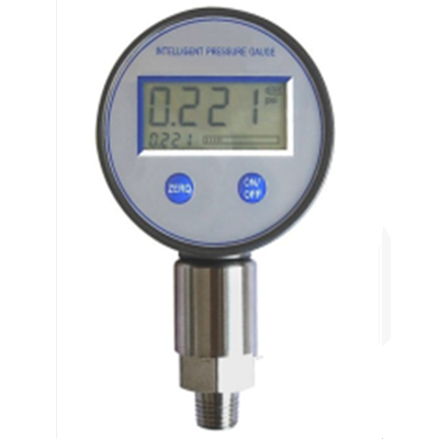 PZG700 Digital Gauge/Absolute Pressure Gauge